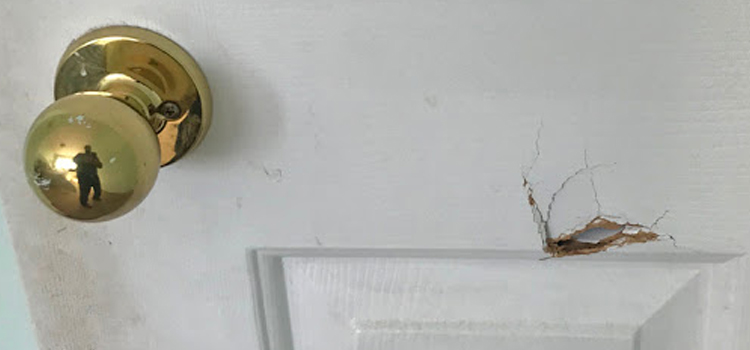 interior door hole repair La Ca